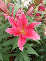 [5357 Night Fever DJ No01.JPG]